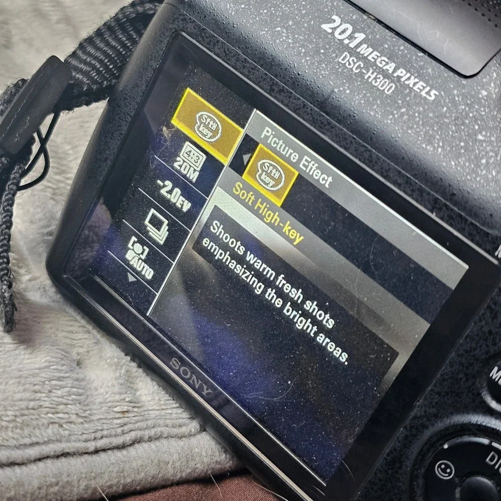 Sony Cyber-shot DSC-H300 Digital Camera 20.1MP 35x Optical Zoom Black
